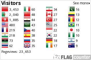 Flag Counter